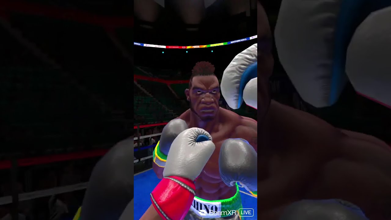 Boxing in vr