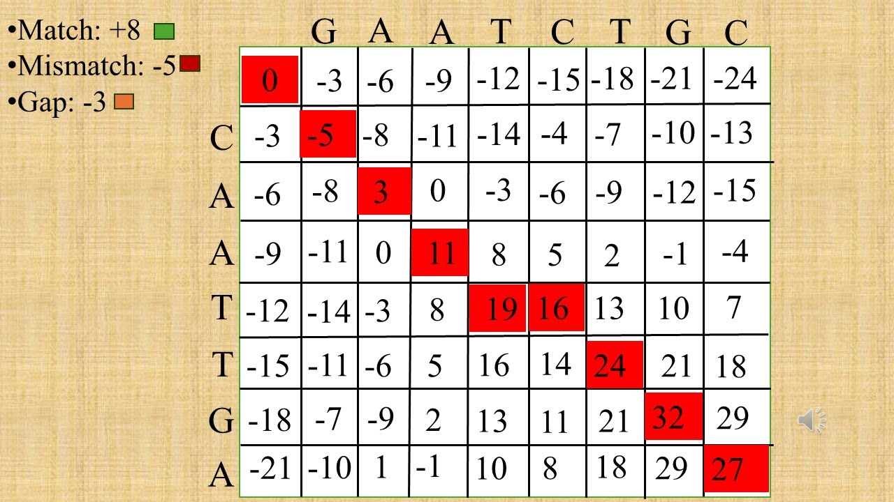 Global Sequence Alignment Simplified | Needleman–Wunsch Algorithm (Traceback Explained)