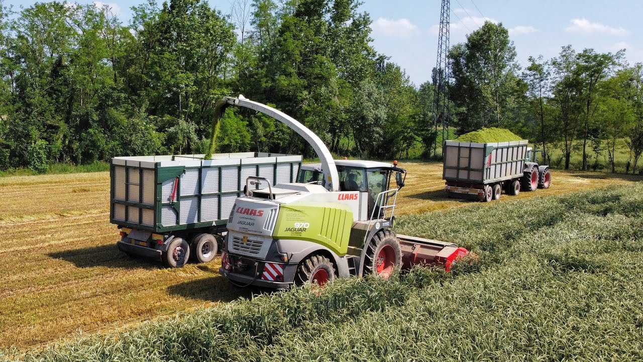 TRITICALE 2021| JAGUAR 970 + Capello Spartan 610| Fendt 824 x2, 926 Vario| Deutz Fahr 7250 TTV