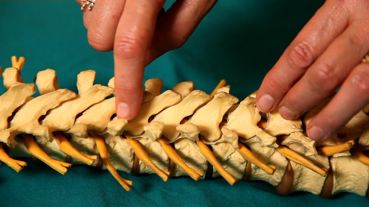 Popping Sound during Joint Adjustment | Chiropractic Care