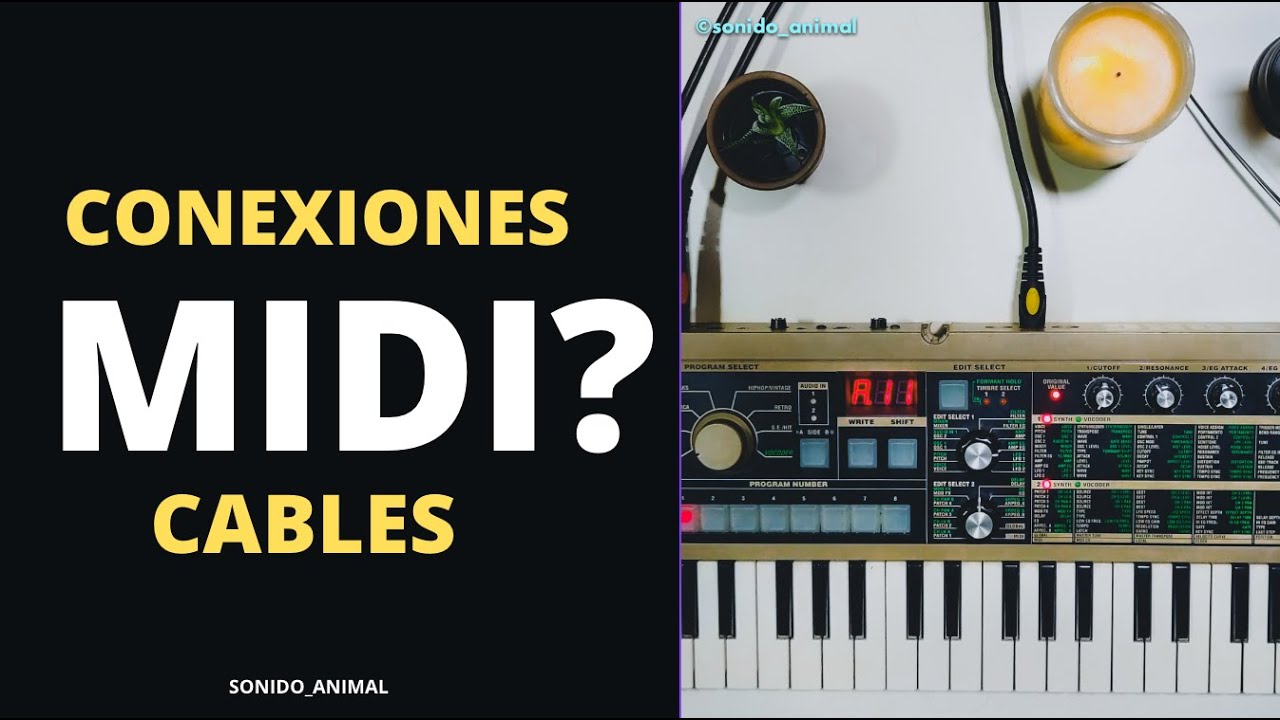 conexiones MIDI: cables, configuraciones para estudio y en vivo (Logic - Ableton)