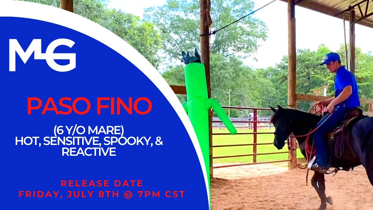 Spooky & Reactive Paso Fino - Virtual Horse Clinic - Releasing July 8th @ 7PM CST