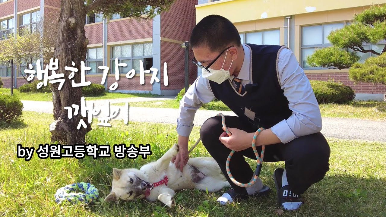 [반려동물사랑] 행복한 강아지 깻잎이ㅣHappy Dog Kkatnip(깻잎이)