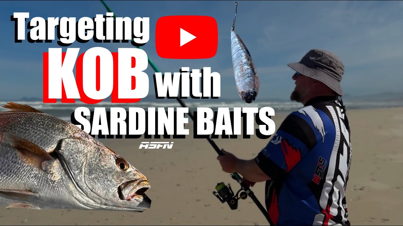 Start of KOB Season!!! Targeting Kabeljou & Edibles on Sardine Bait