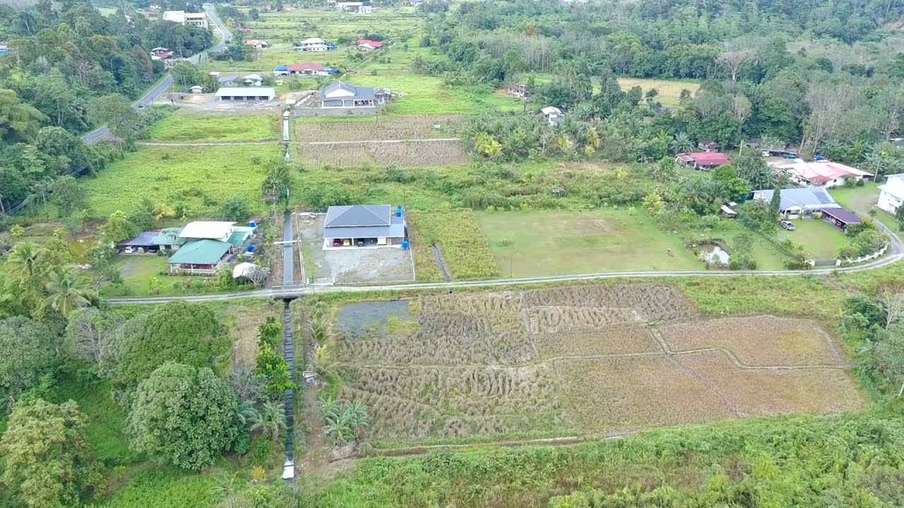fly from kg tambulaung kb part2(2/2/2026)
