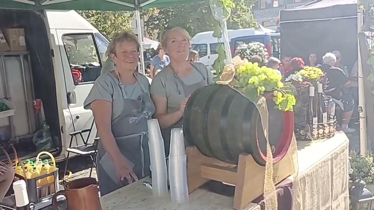Litoměřice Vinobraní 20 09 2029 movie