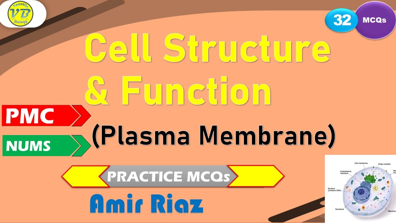 Plasma Membrane-PMC NMDCAT Practice MCQs- #pmc#nmdcat2022#nmdcat#nums#etea#biology#nums