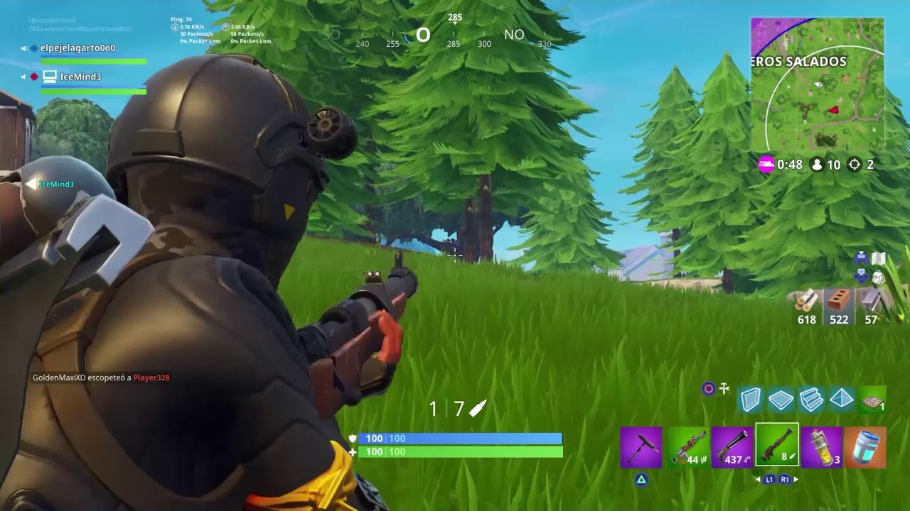 Fortnaisu