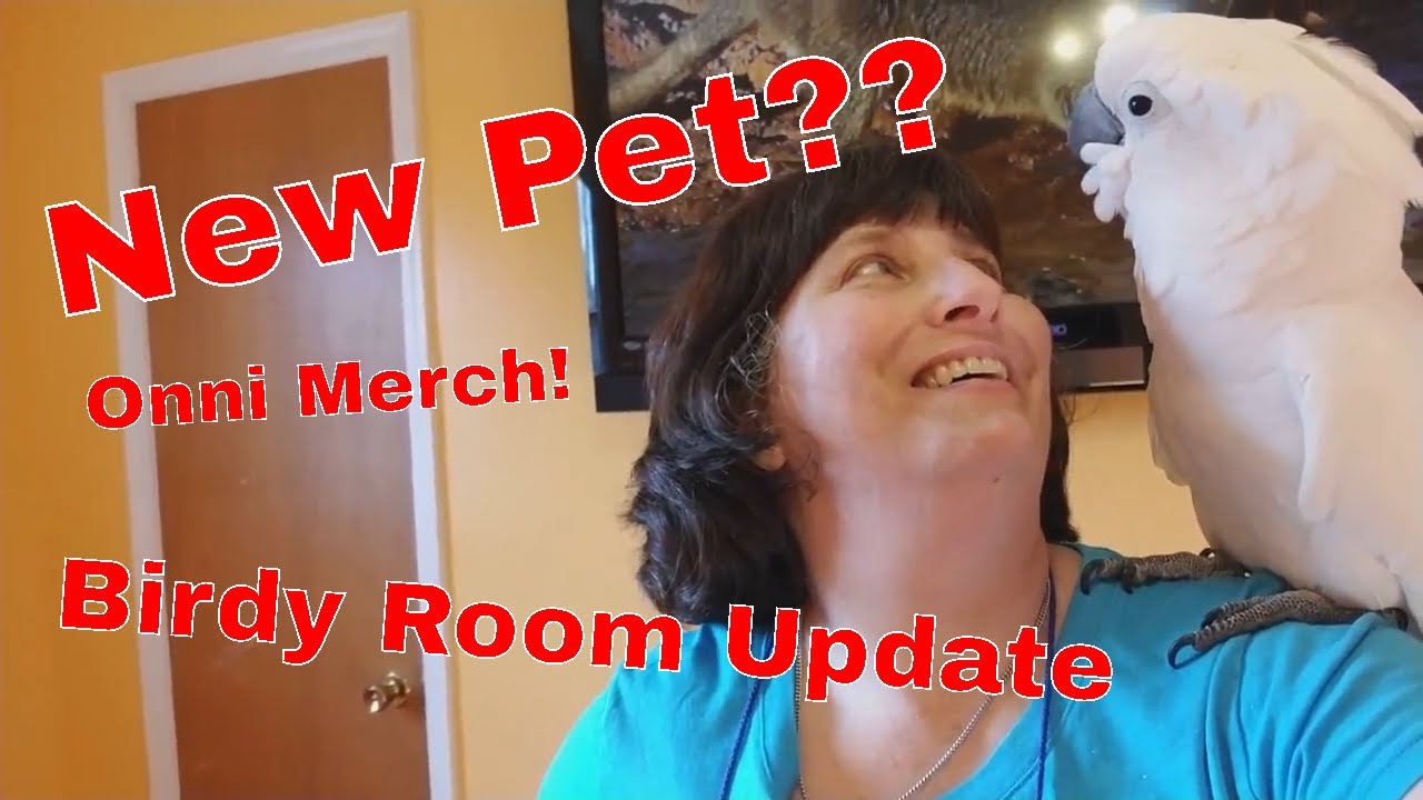 UPDATES: Bird Room, Onni Merchandise, And New Pet