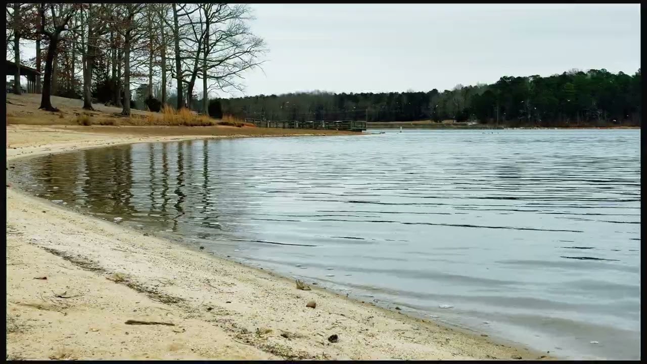 Real Lake Water Sounds 4K | Calm Through Nature (No Music, Pure Nature)