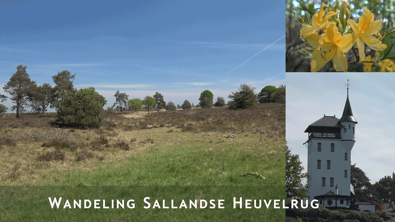 Wandeling Sallandse heuvelrug landgoed Sprengenberg