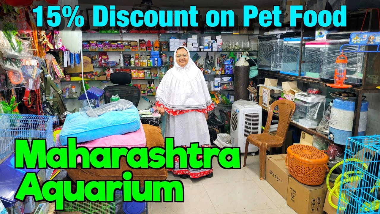 Aquarium Fish Stock at Mahararashtra Aquarium in Nashik