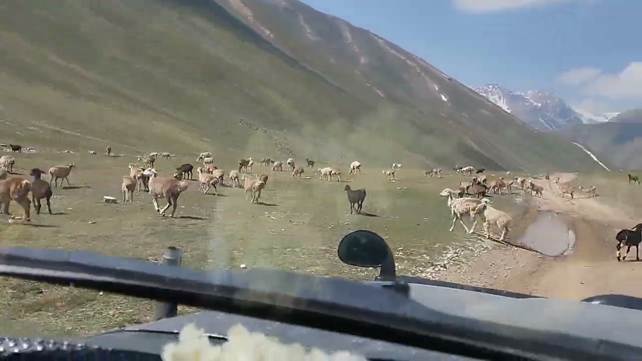 ۱۵ فوریهٔ ۲۰۲۶