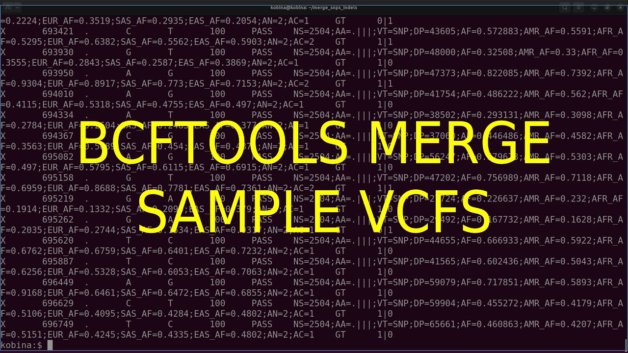 Bcftools Merge Individual VCF files VCF files