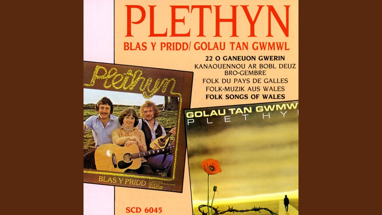 Y Ferch Yn Ffair Llanidloes
