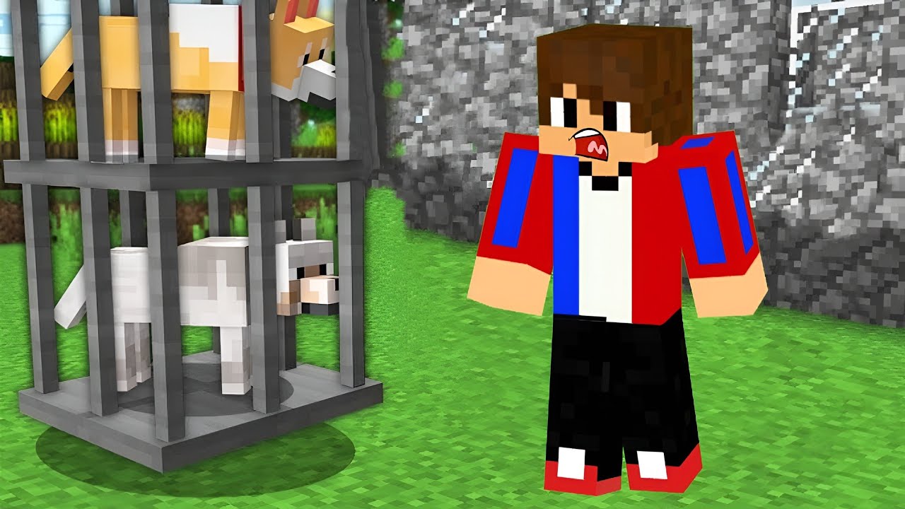 ՈՎ ԷՐ ՁԵՐԲԱԿԱԼԵԼ ՄԵՐ ՇԱՆԸ!? Arm Zone Minecraft Hayeren