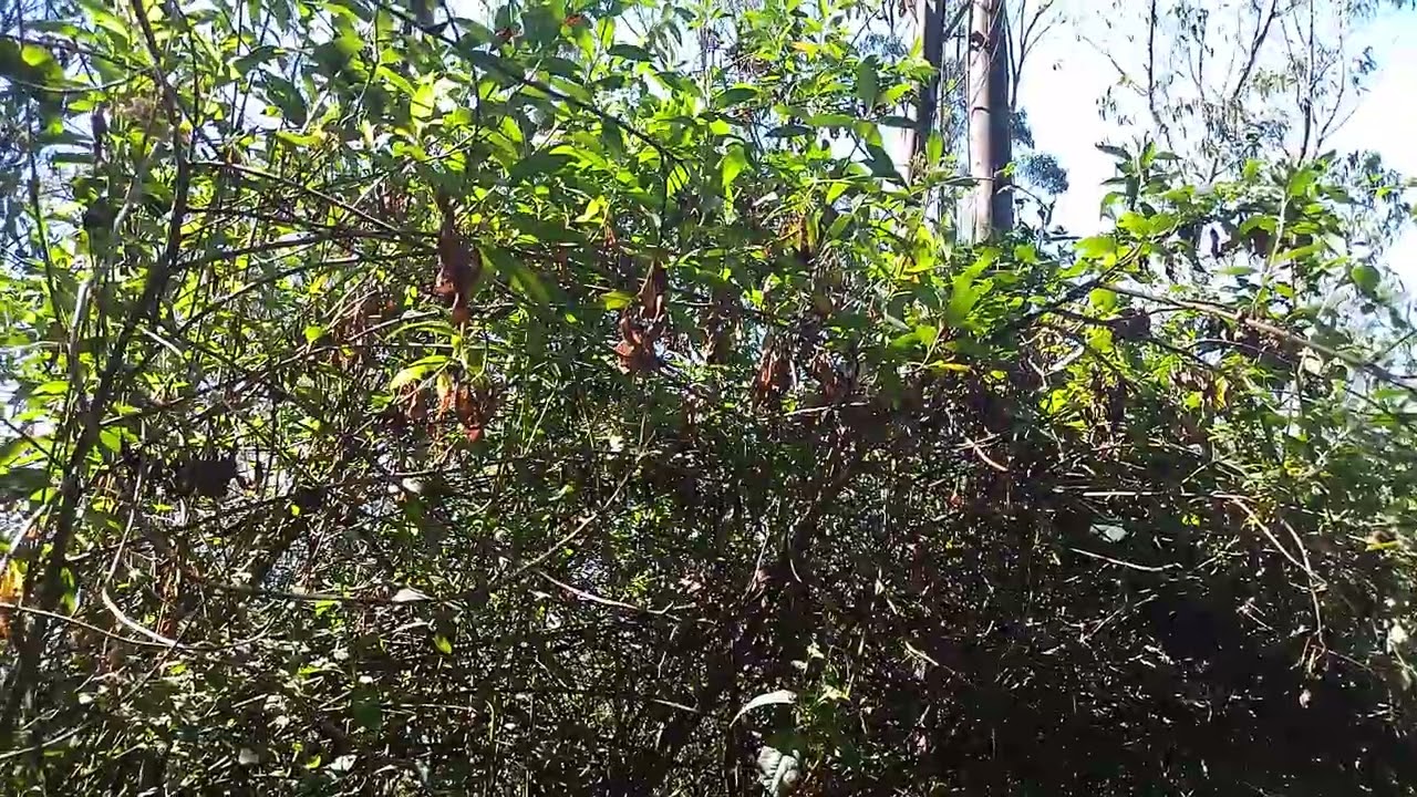CAMINATAS Y AVENTURAS AL EXTREMO SEÑORES. QUE.LINDA.BENDICION DE.ESTAR CON USTEDES  Y SUSCRIBETE
