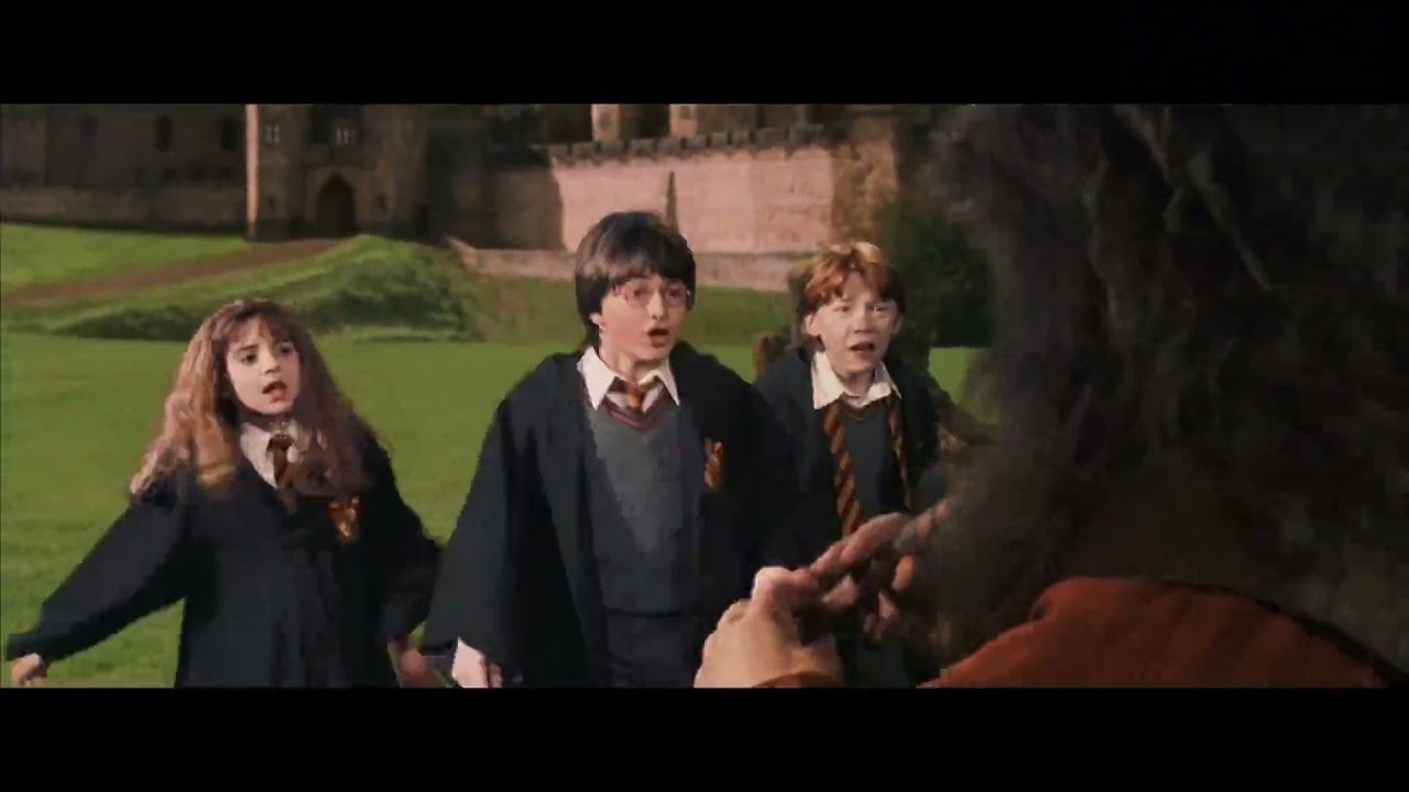 Hagrid Shitty Flute