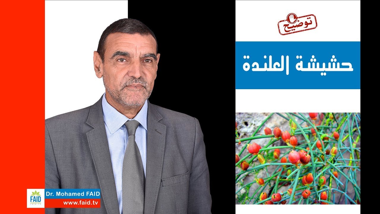 حشيشة العلندة | الدكتور محمد فائد