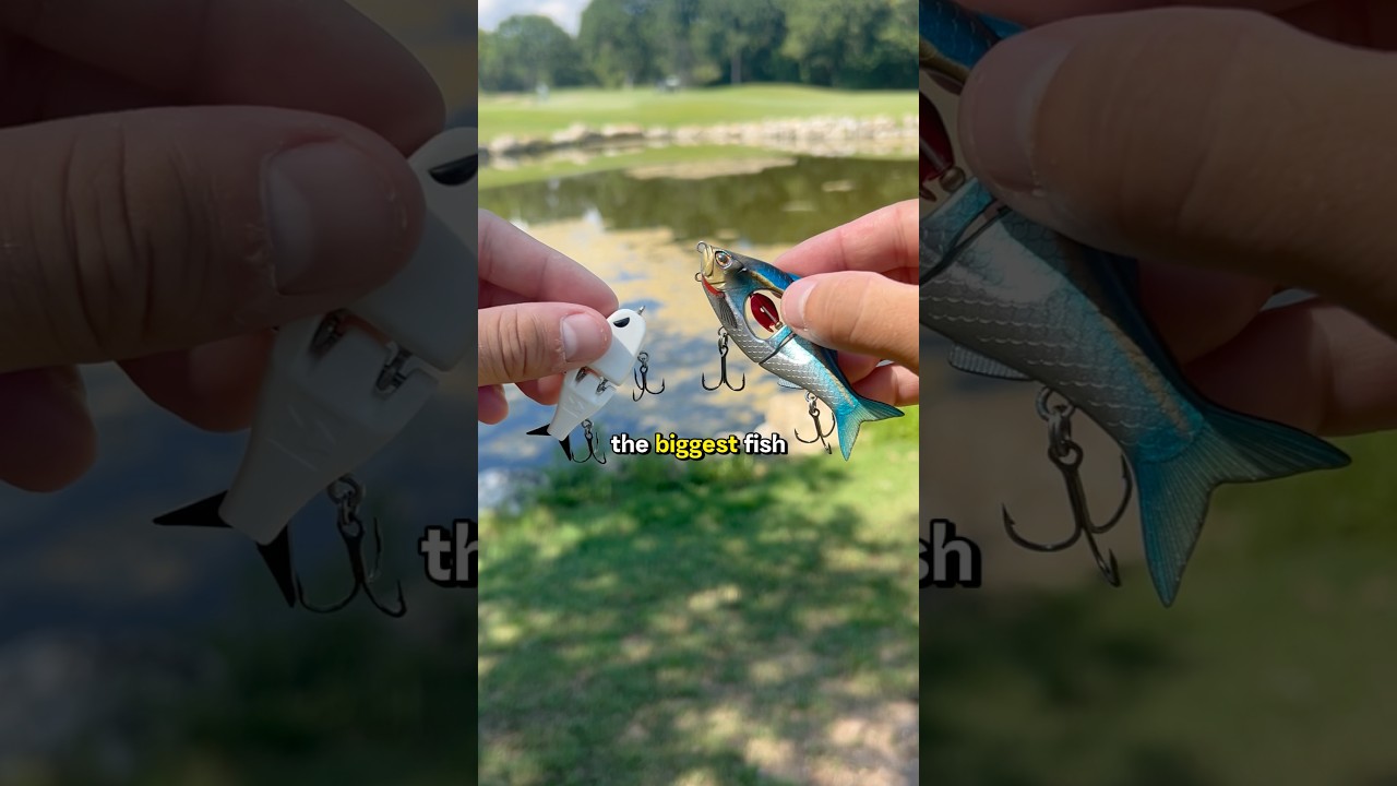 $40 glide-bait vs $7 Temu glide-bait! #fishing