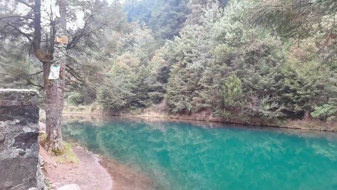 Te muestro el bosque y las presas en la cdmx. #whatsappstatus #forest #cdmx #river #mexico #nature 