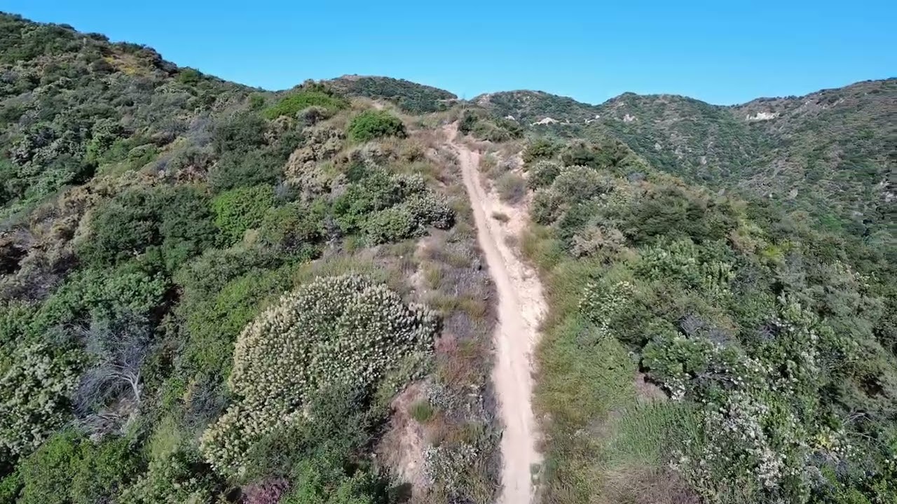 morning in the verdugo hills - mountain bikers surprise