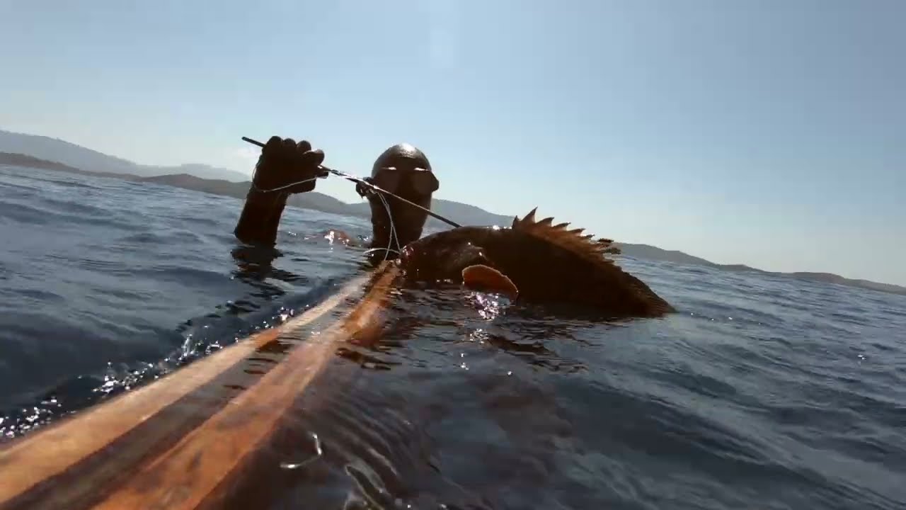 Spearfishing Greece 2024  - Part 1 (Amberjack, Sargos, Dusky Grouper, Goldblotch grouper, Dentex)