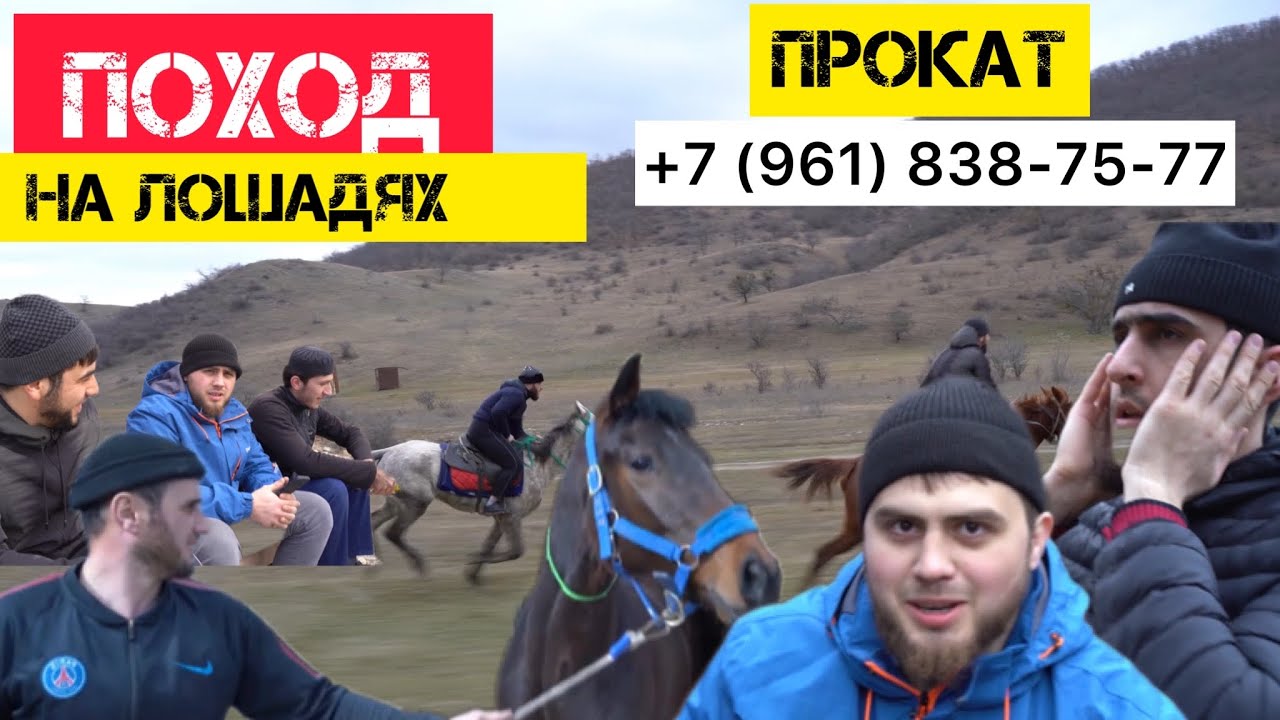 Губден,прокат лошадей