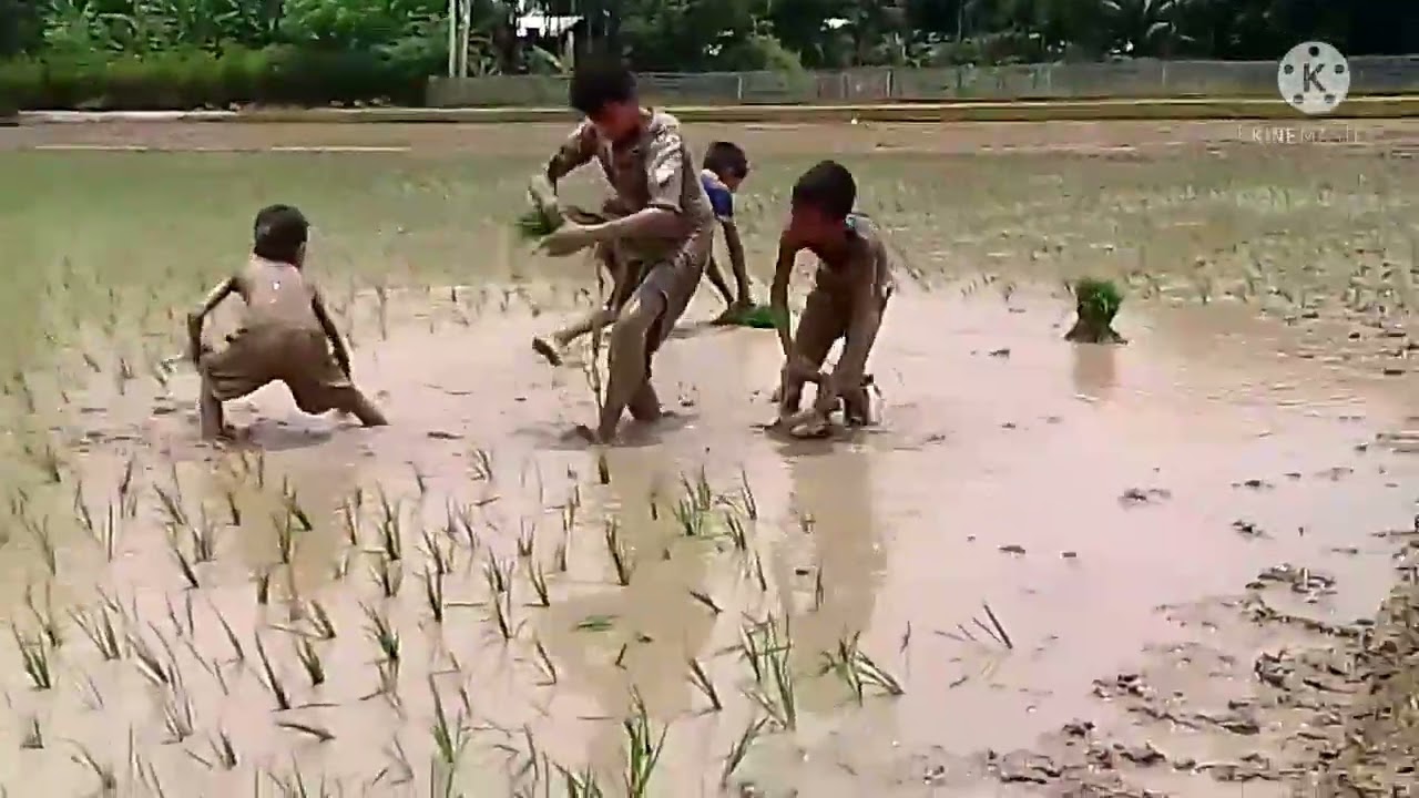 Niha funny video Bangla please subscribe now barisha S+N