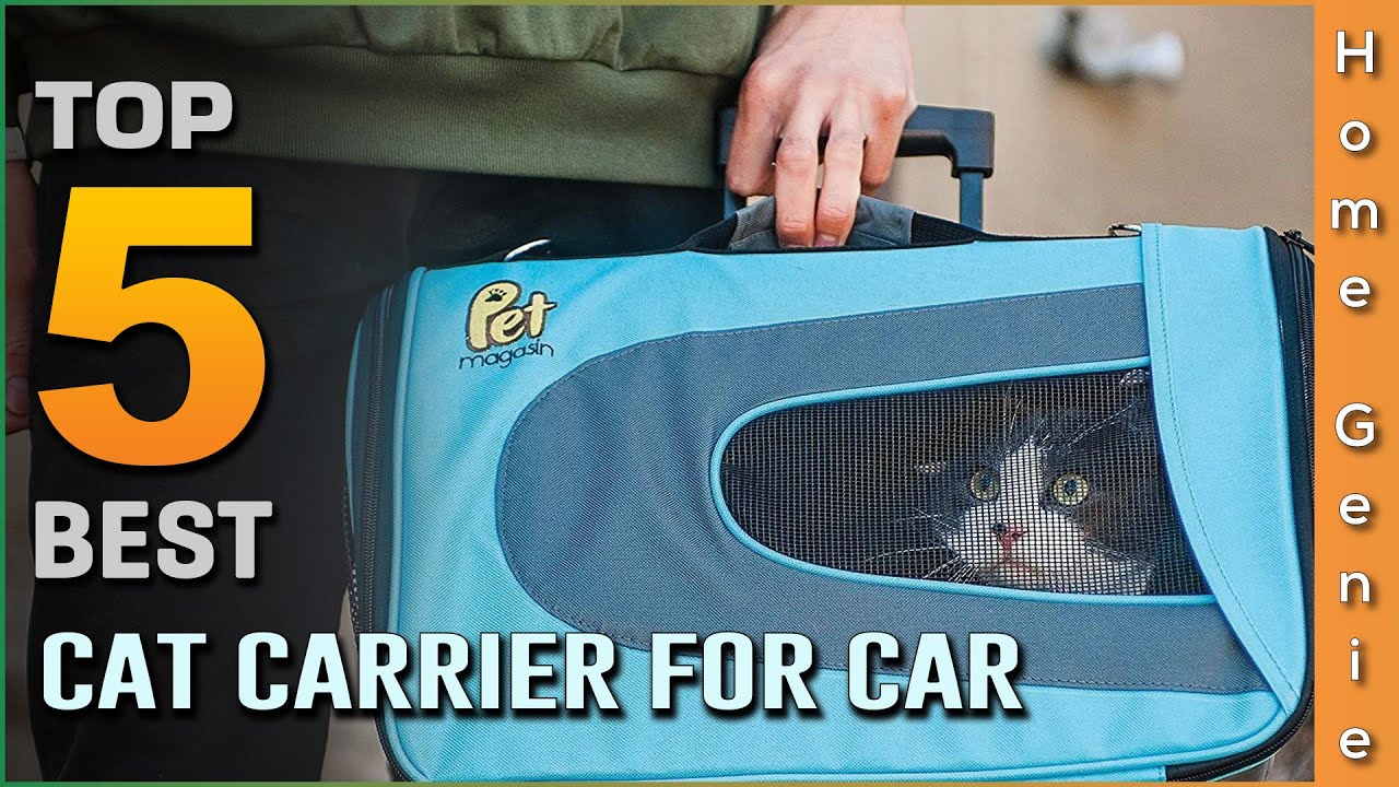 Top 5 Best Cat Carriers for Car Review in 2023 | You Can Buy Right Now