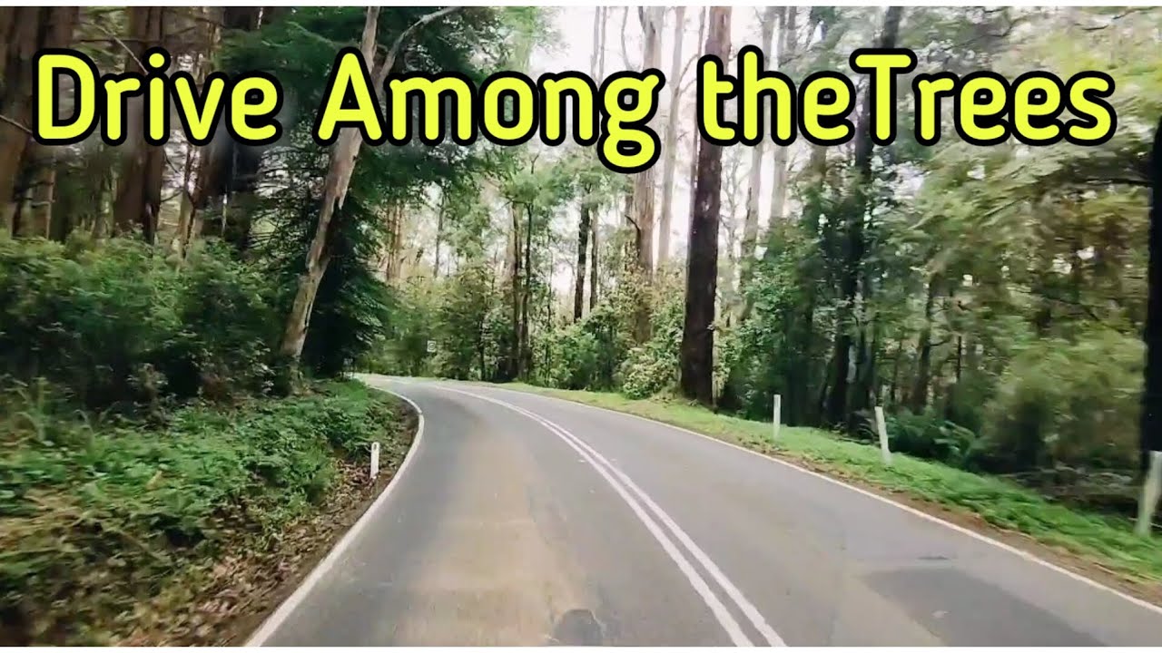 Ferntree Gully to Gembrook | Australia