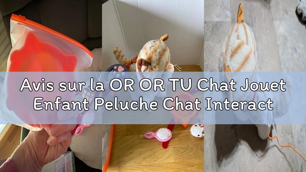 Avis sur la OR OR TU Chat Jouet Enfant Peluche Chat Interactifs Qui Marche et aboie en Laisse, Répèt