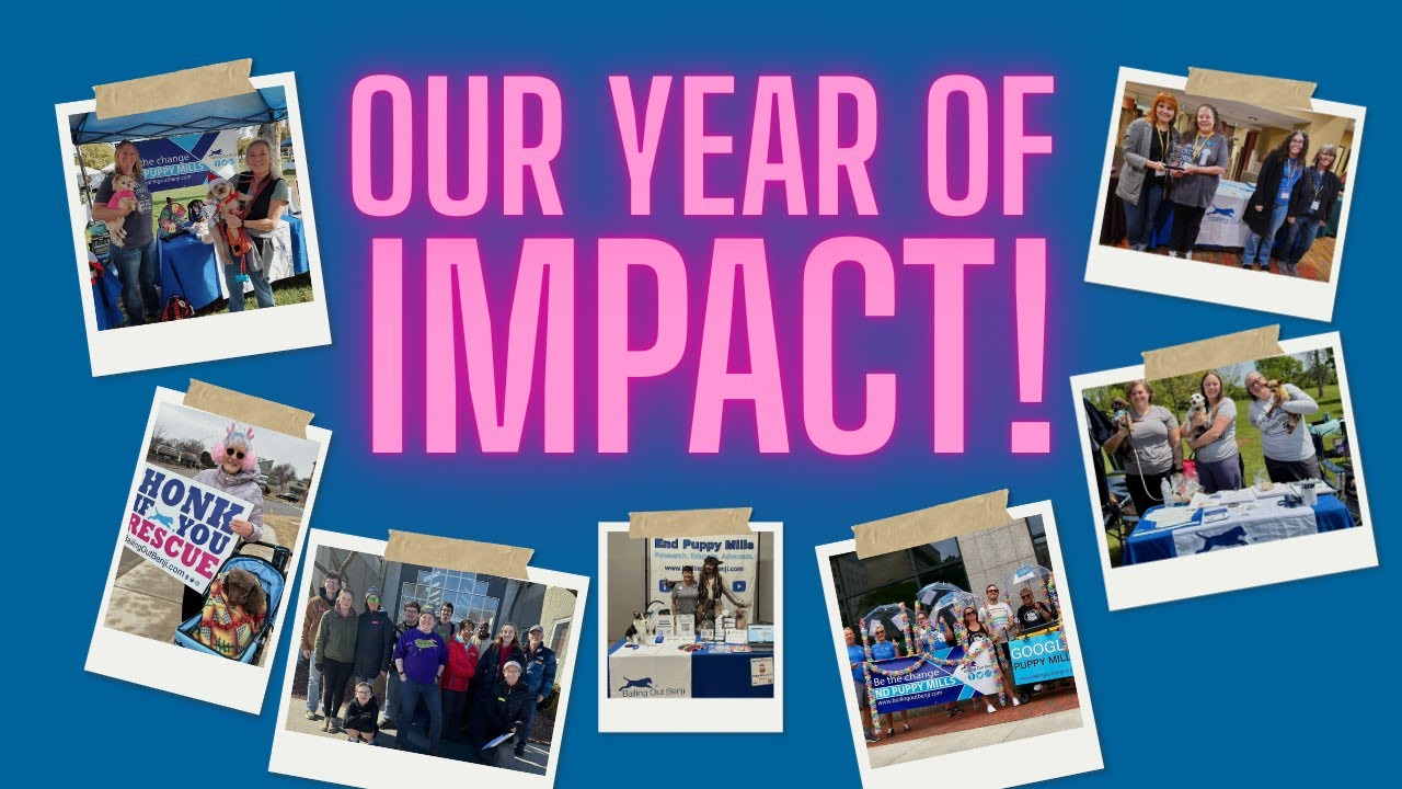 Ep36: Our Year of Impact!