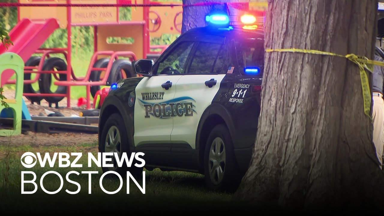 Suspect arrested after deadly stabbing at Wellesley park