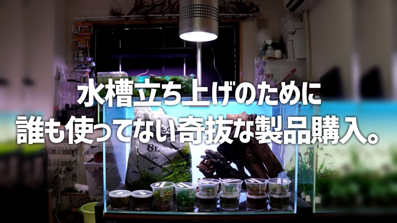 【水槽立ち上げ準備】ありそうでなかった機能を兼ね備えた製品を紹介。オススメ照明も設置していく。#339【アクアリウム】