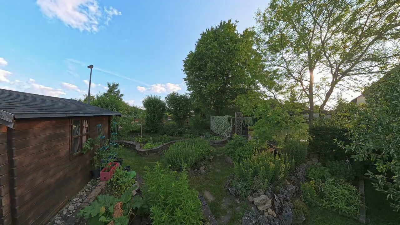 Sunrise over the garden
