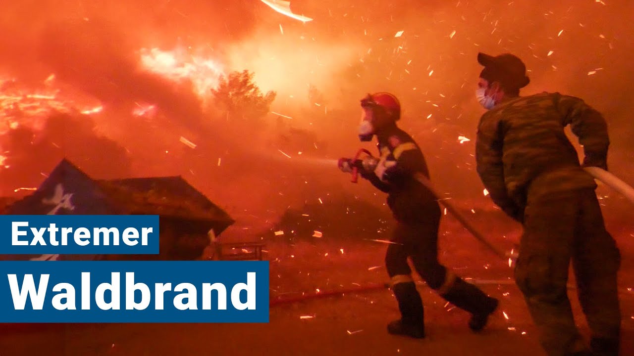 Eindrücke von den extremen Waldbränden in Griechenland 🌲🔥🚒