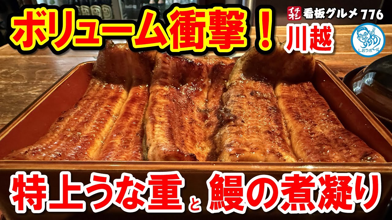 【川越で迷ったらココ】うな重特上のボリュームが衝撃！古民家で味わう絶品うなぎ体験！ イチオシ看板グルメ776 #飲食店応援 1789