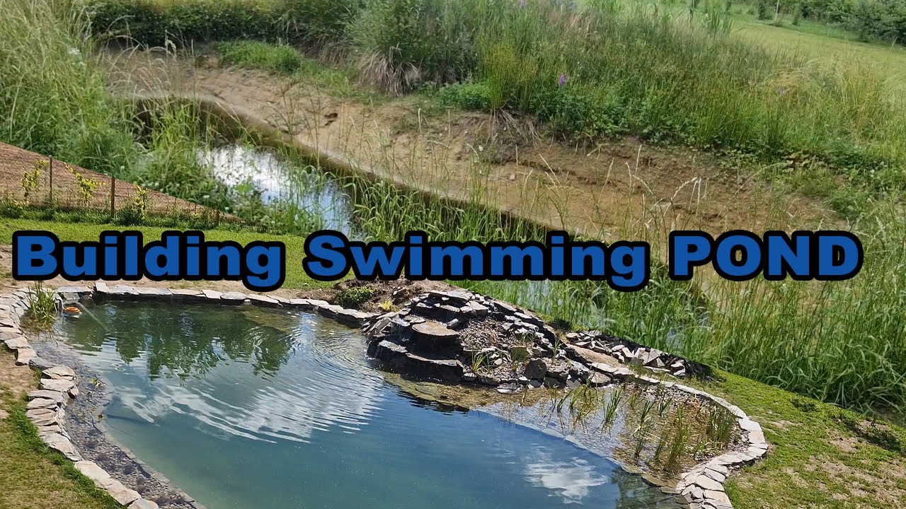 Overgrown hole in garden change into beautiful swimming pond