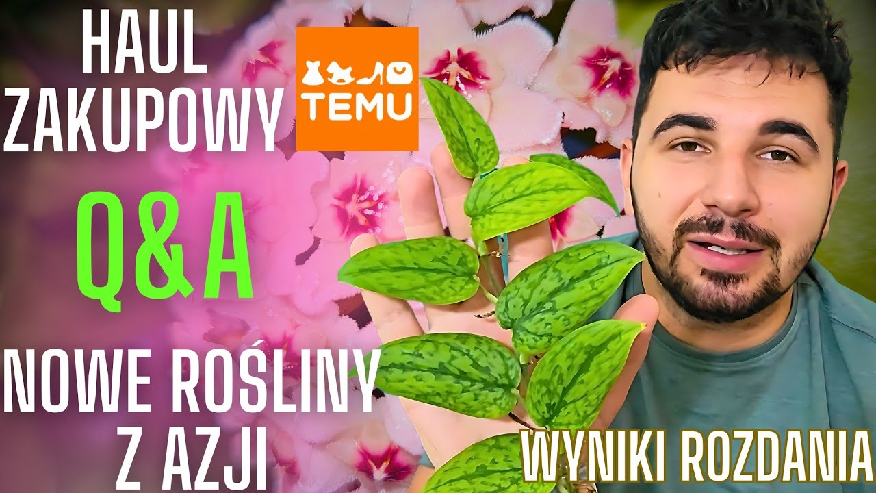 Roślinny VLOG 🌿 Haul zakupowy z TEMU 📦 Q&A 💚 WYNIKI ROZDANIA ⚠️