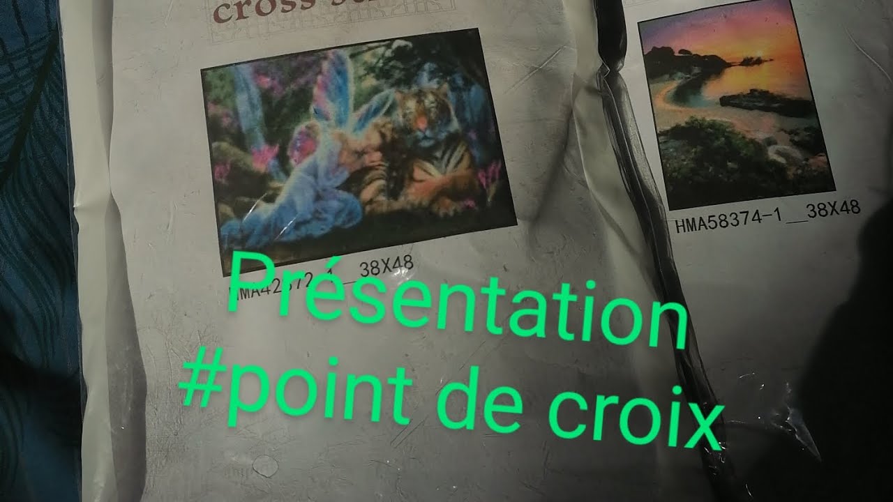 Présentation 2 #points de croix# Meian cross stitch
