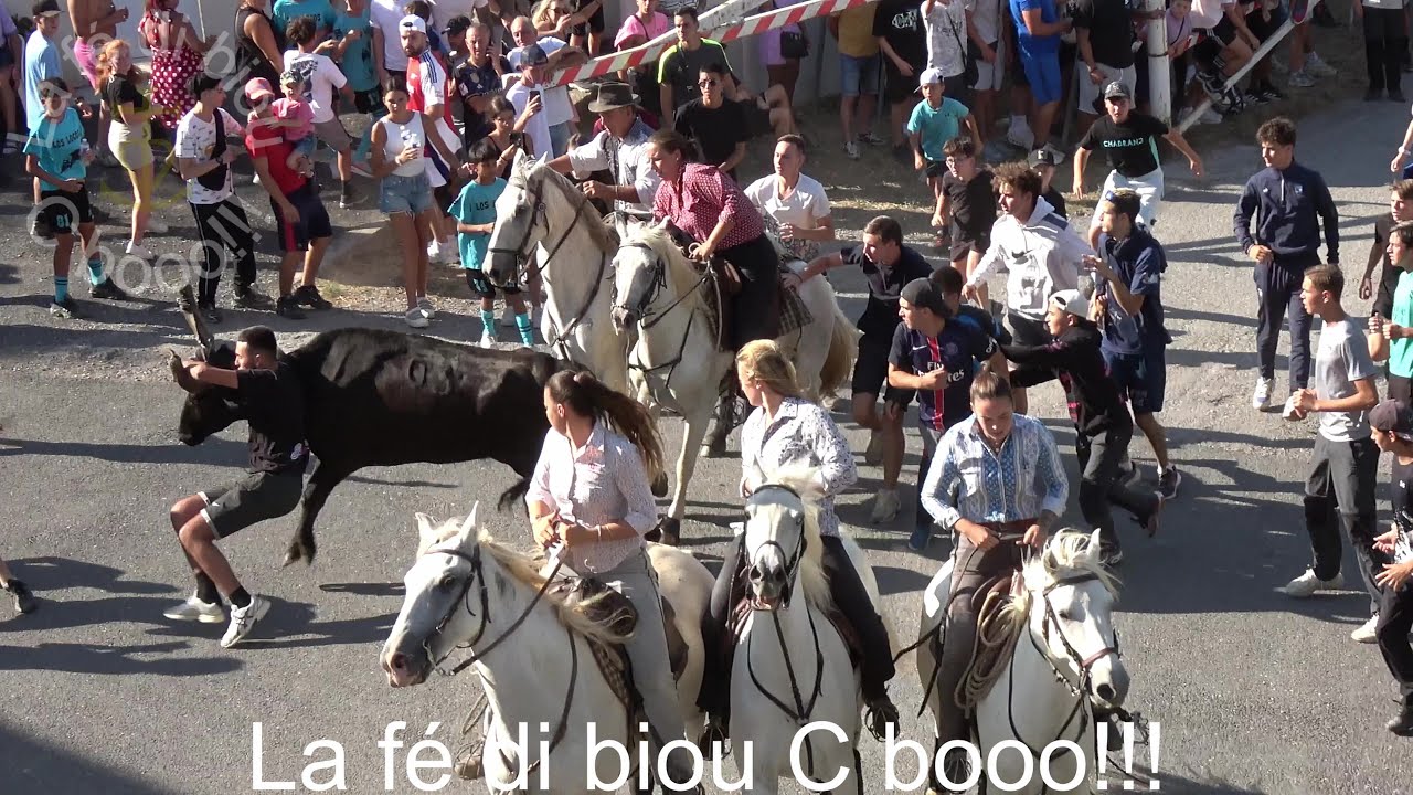 Fabr&egrave;gues ▶abrivado/bandido◀ 26.07.2025.