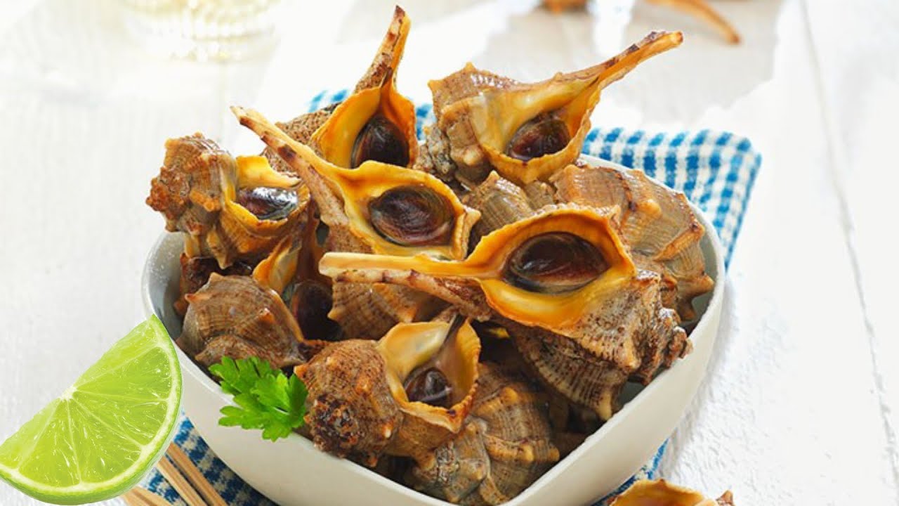 ✅Cómo Hacer CARACOLES de MAR o CAÑAILLAS Cocer FACIL RICO‼️POCOS SABEN #tips #parati #cooking