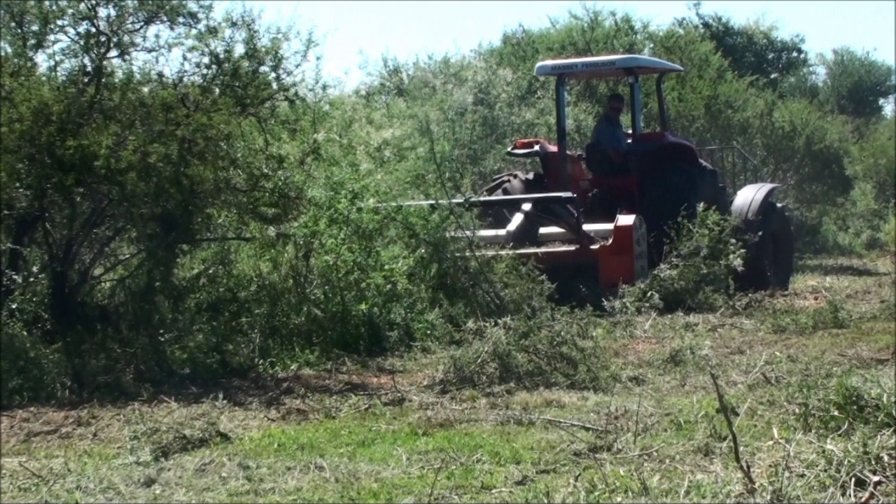 Ecotritus HP240   Triturando espinilho, anone, xirca e garupá