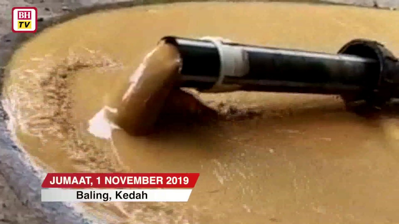Gunung Inas diceroboh Musang King