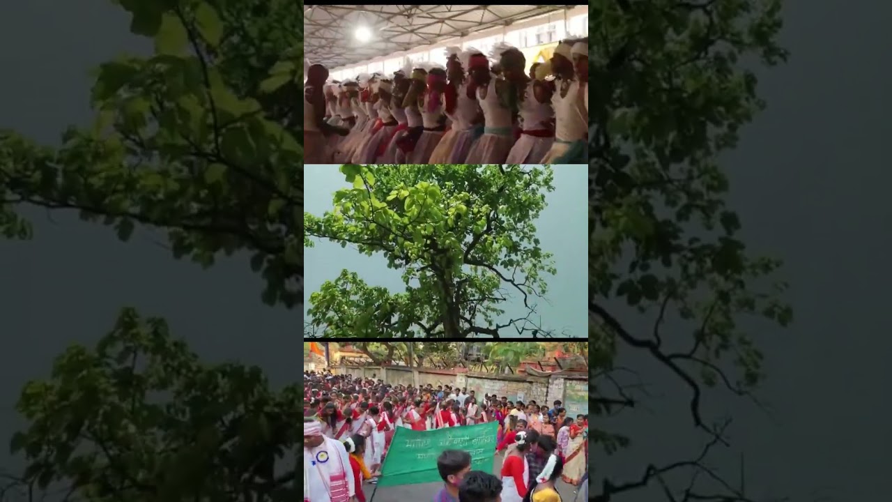 new sarhul status video| comming soon sarhul2023 #status #sarna #sarhulpuja #sarnasongstatus #sarhul