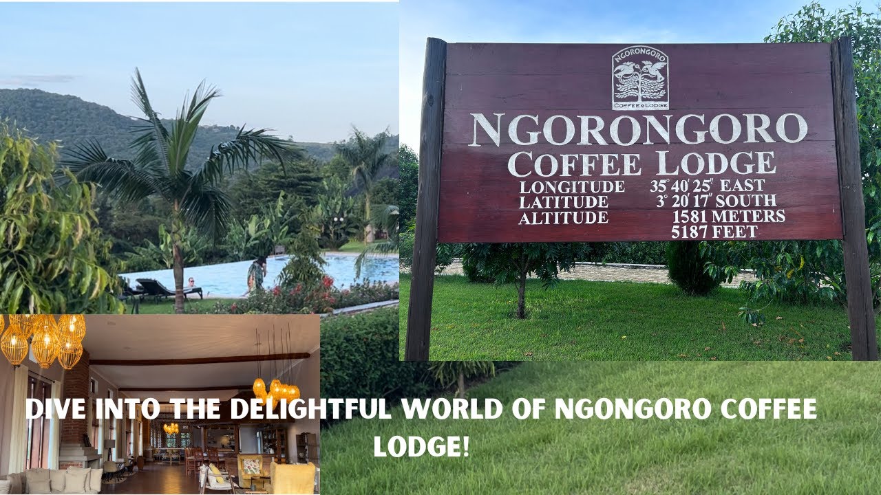 #episode8 GET TO KNOW NGORONGORO COFEE LODGE #safari #amazing #space #africa