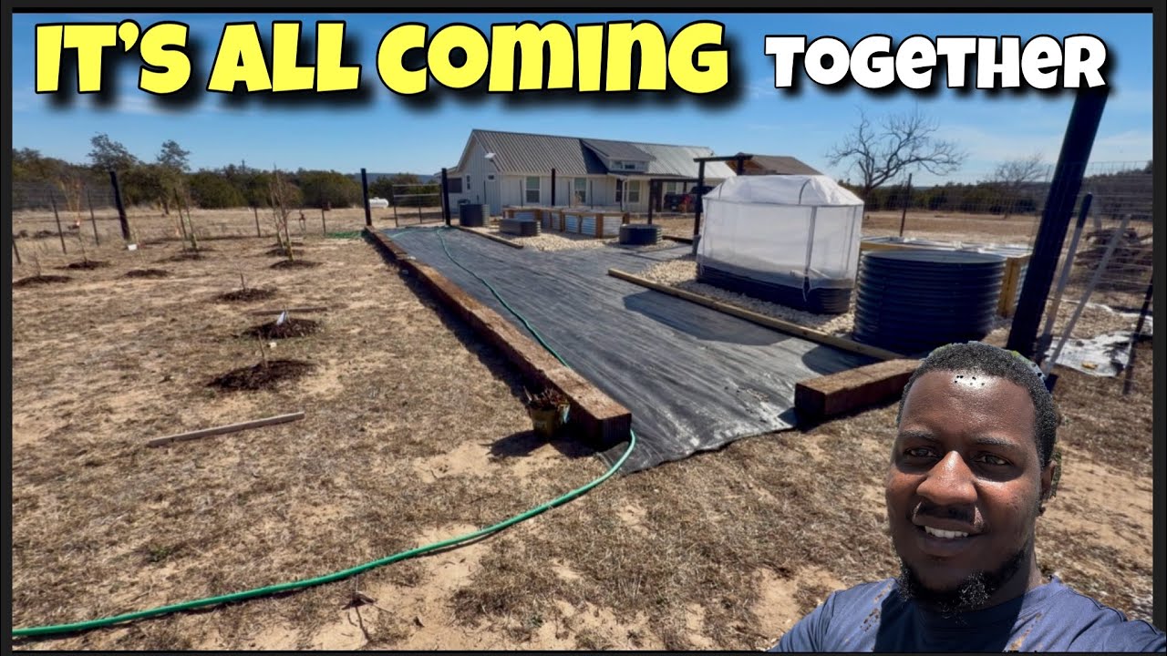 Garden Transformation And Updates On Our Property || Building Our Forever Homestead || 10 Acres 