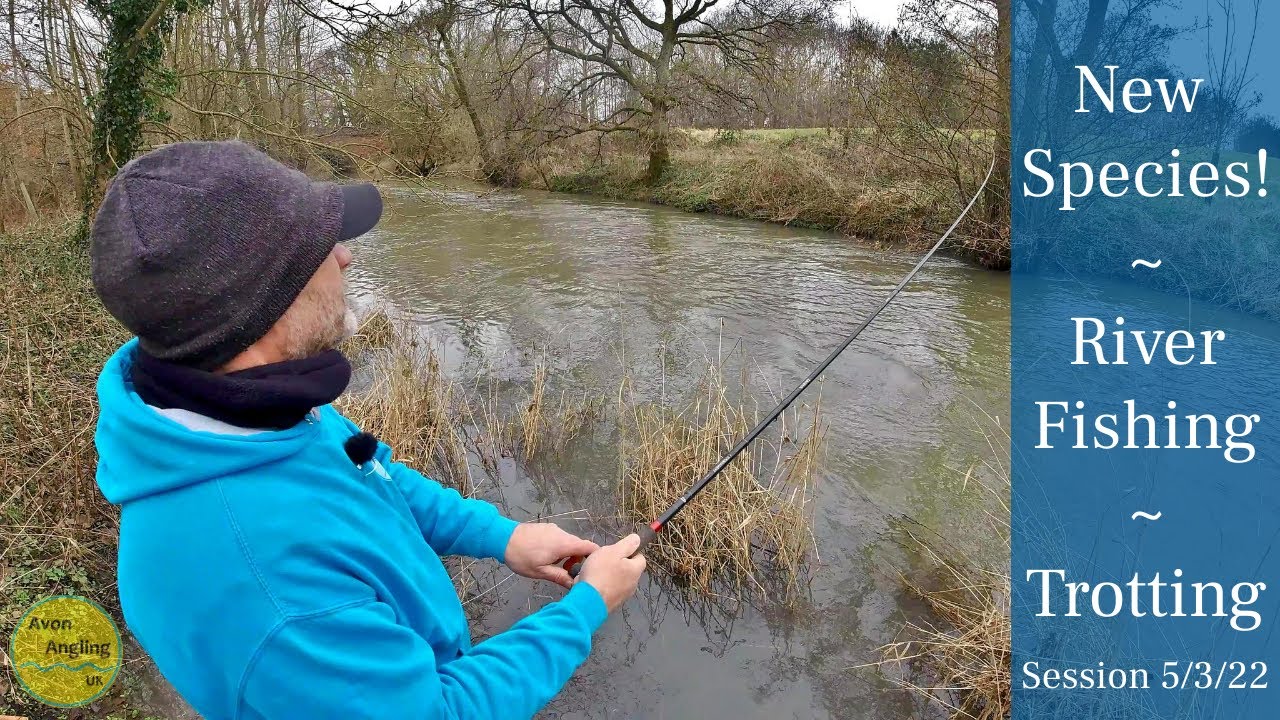 I Caught A New Species! - Early Morning Trotting - Small River Fishing - 5/3/22 (Video 307)