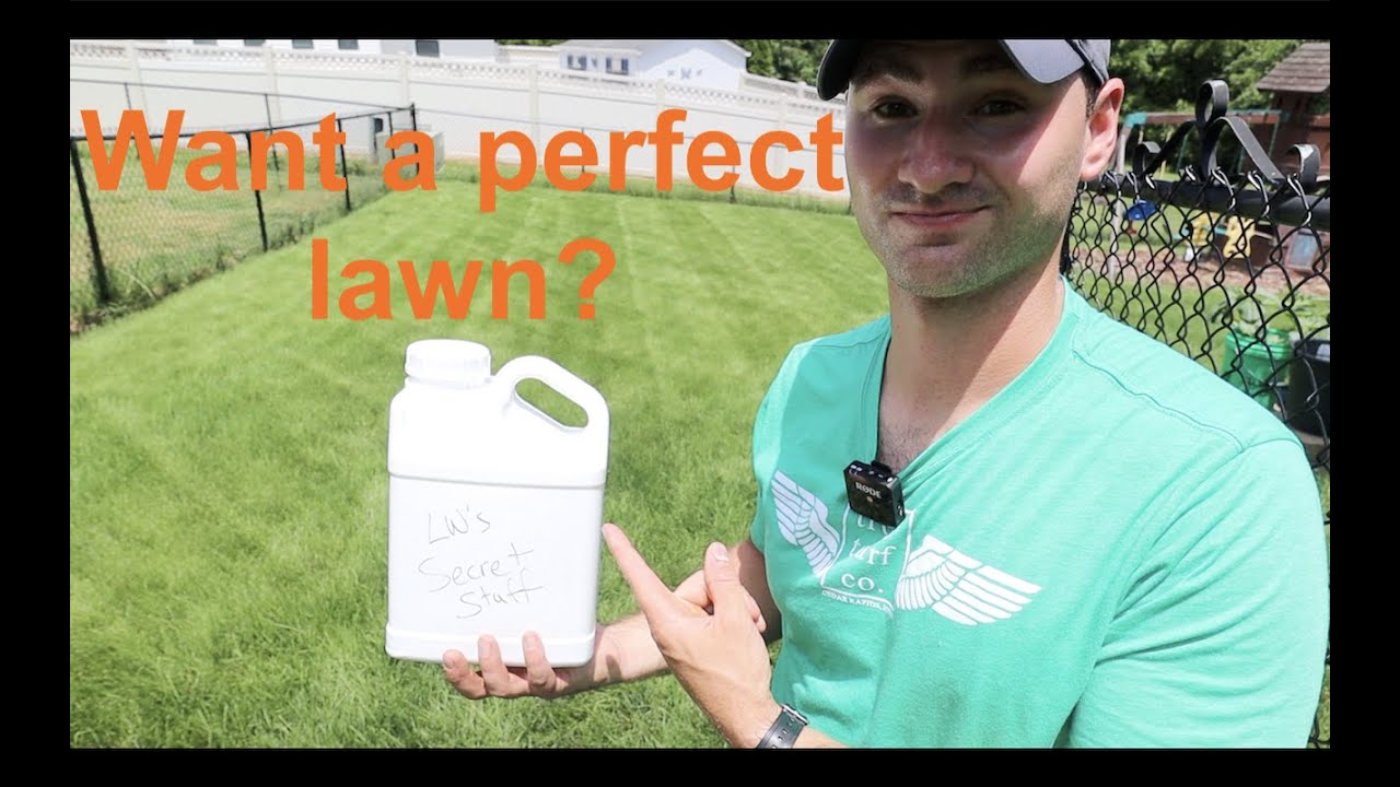 The #1 thing you SHOULD be putting on your LAWN
